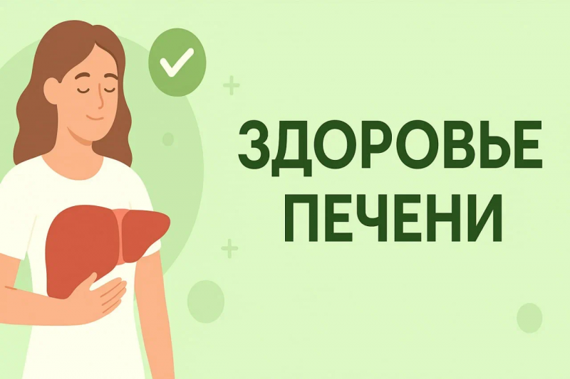 ЗДОРОВЬЕ ПЕЧЕНИ
