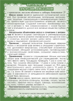 9 свечи 2